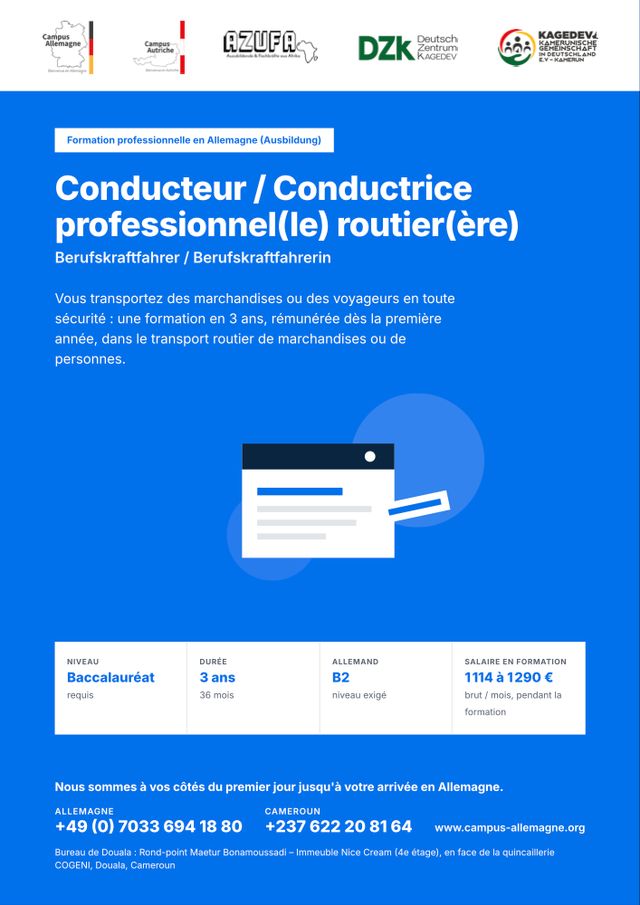 Conducteur / Conductrice professionnel(le) routier(ère)