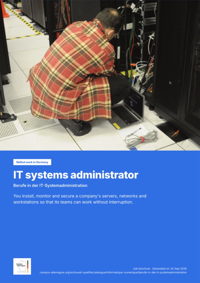 IT systems administrator