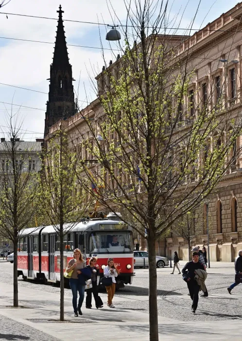 Allemagne Allemagne